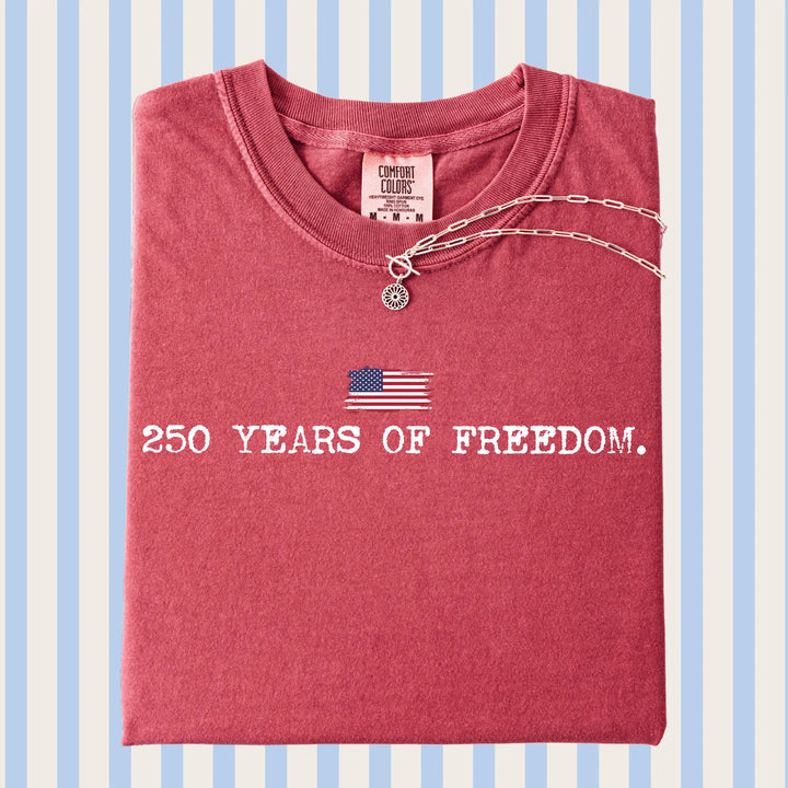 250 YEARS Small Flag Graphic T-shirt Envy Stylz Boutique