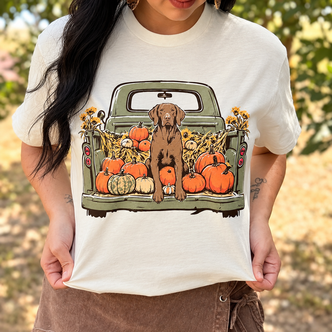 Pumpkin Patch Pup Tee 🎃🐾 additional product image 2