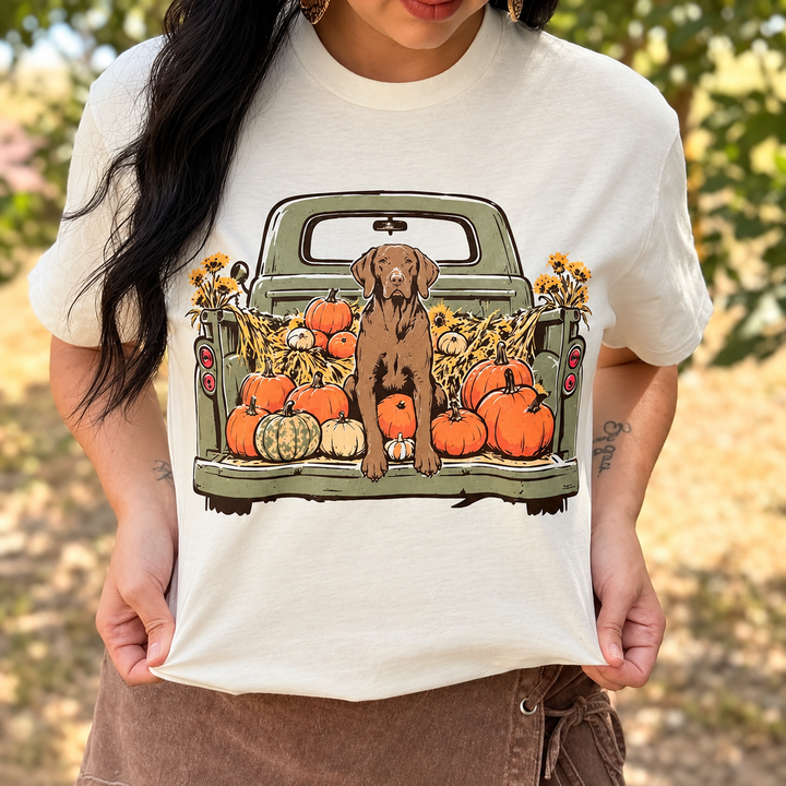 Pumpkin Patch Pup Tee 🎃🐾 additional product image 2