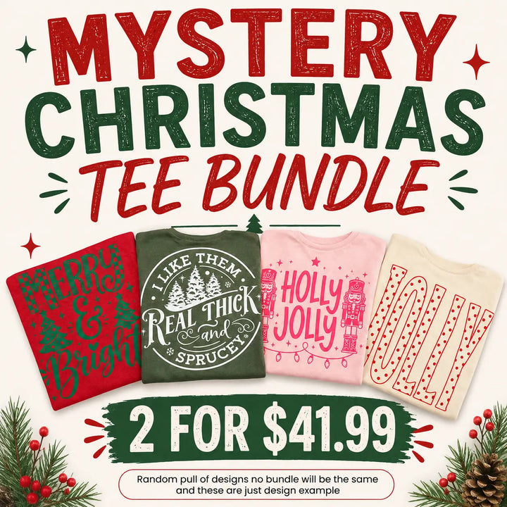 Mystery Comfort Colors Christmas Tee 2-Pack Envy Stylz Boutique