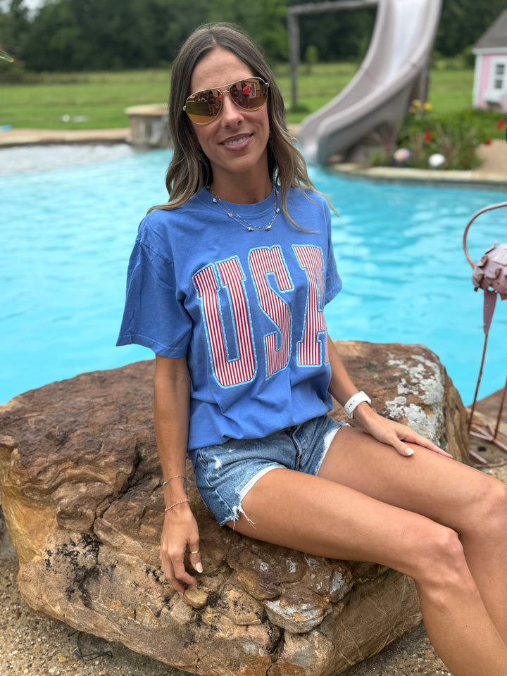 USA Stripes Graphic T-shirt Envy Stylz Boutique