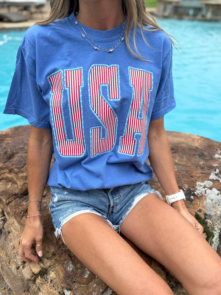 USA Stripes Graphic T-shirt Envy Stylz Boutique