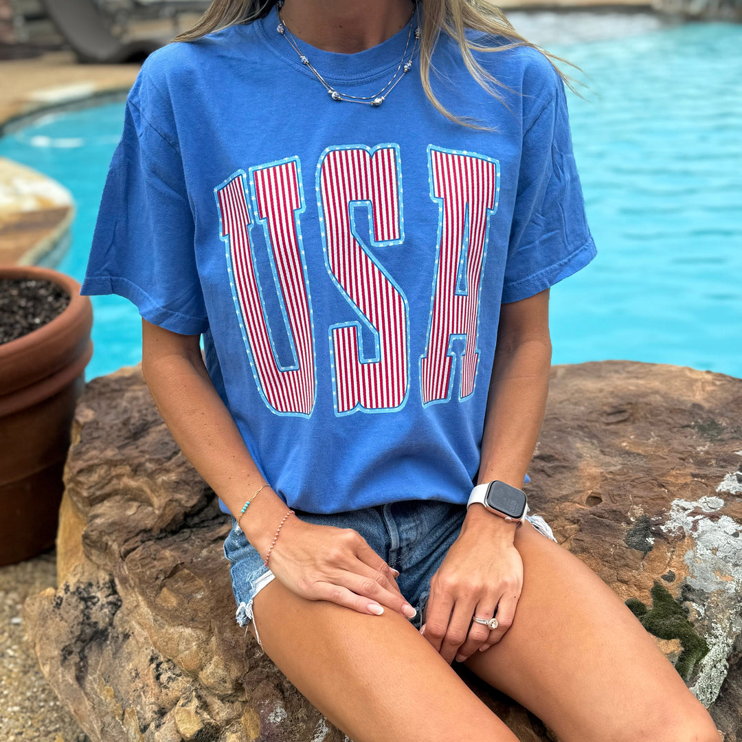 USA Stripes Graphic T-shirt Envy Stylz Boutique