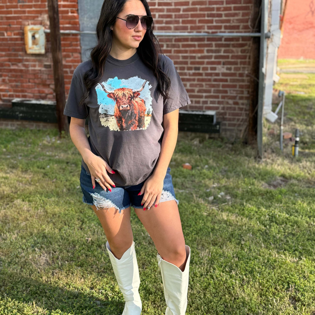 Envy Stylz Boutique Women - Apparel - Shirts - T-Shirts Highland Cow Western Graphic Tee