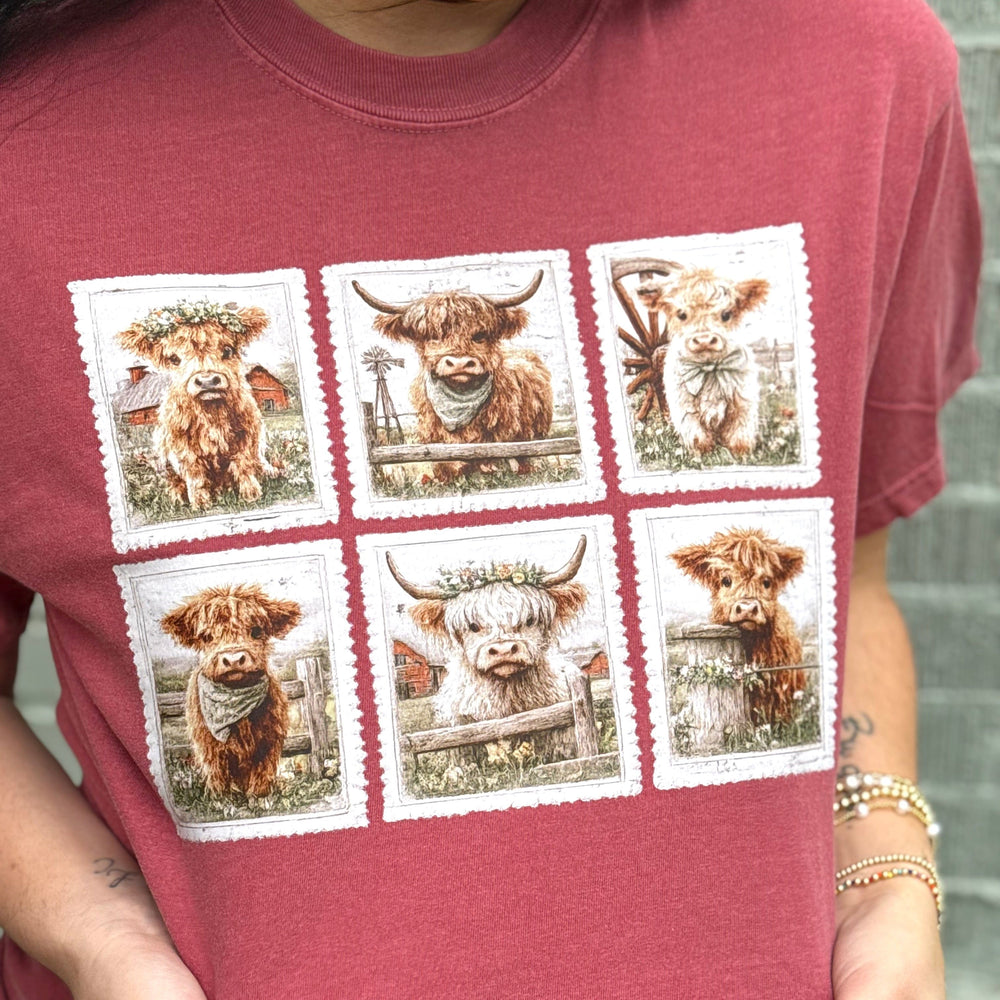 FestiviTees Women - Apparel - Shirts - T-Shirts Stamp Highland Cows Graphic Tee