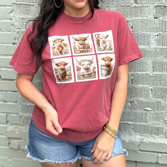 FestiviTees Women - Apparel - Shirts - T-Shirts Stamp Highland Cows Graphic Tee